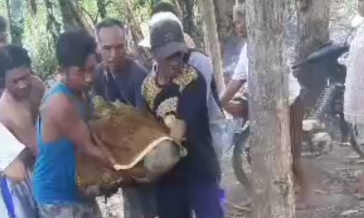 Kakek di Jember Ditemukan Tewas Terbakar Usai Membakar Sampah di Kebun