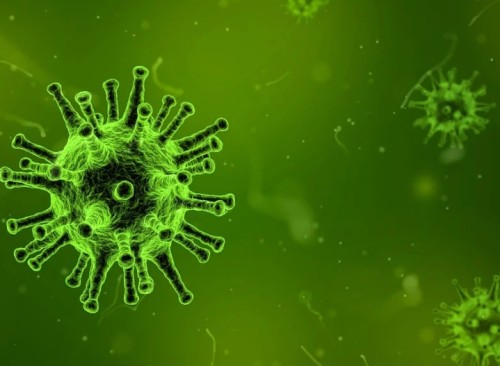 Rwanda Berhasil Menghentikan Wabah Virus Marburg: Upaya Penanganan dan Tantangan