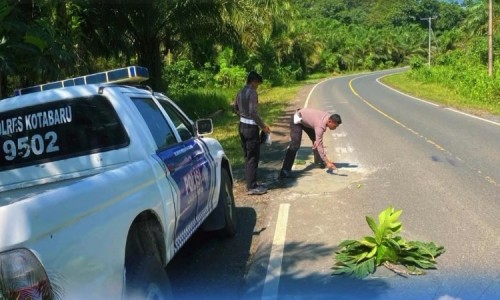 Cegah Laka Lantas, Satlantas Polres Kotabaru Tambal Jalan Berlubang 