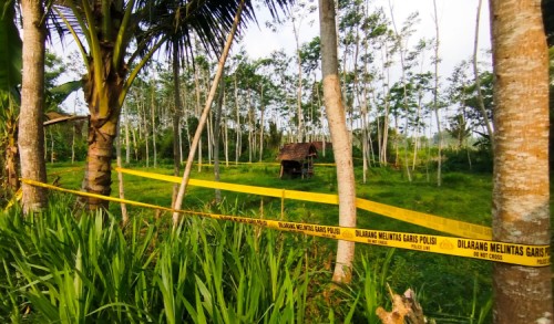 Dugaan Pemerkosaan-Pembunuhan Siswi MI di Banyuwangi, Polisi Periksa 10 Saksi