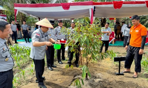 Tanam Durian, Cara Lapas Bangkinang Wujudkan Program Ketahanan Pangan