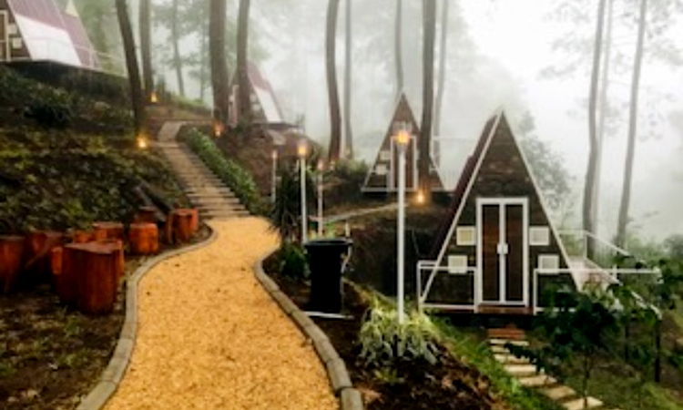 Glamping di Locca Lodge Trawas: Kemewahan di Tengah Hutan Pinus