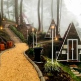 Glamping di Locca Lodge Trawas: Kemewahan di Tengah Hutan Pinus