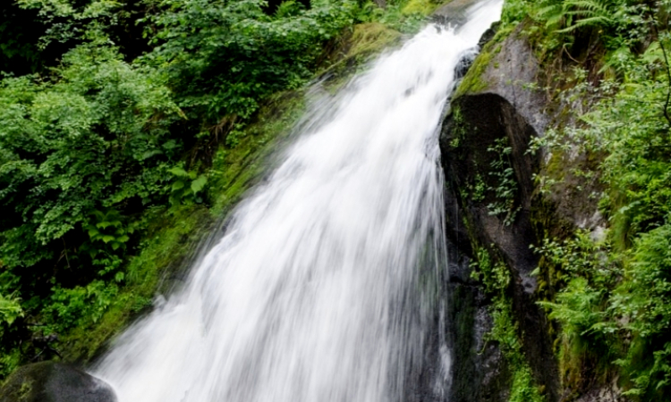 Menikmati Keindahan Air Terjun Madakaripura Probolinggo yang Memukau