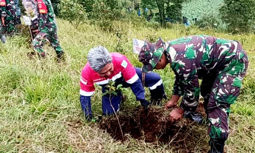 Hijaukan Dieng, Kodim 0704 Banjarnegara dan Gio Dipa Tanam 27 Ribu Pohon di Kawasan Telaga Dlingo