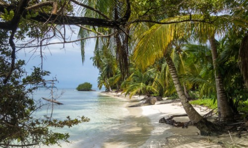 Keindahan Pulau Wakatobi: Surga bagi Penyuka Diving dan Snorkeling yang Wajib Dikunjungi