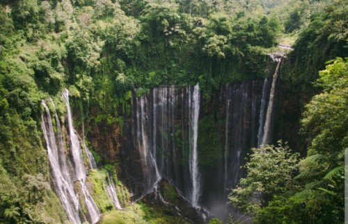 Tempat Wisata Paling Instagramable di Surabaya untuk Liburan Singkat