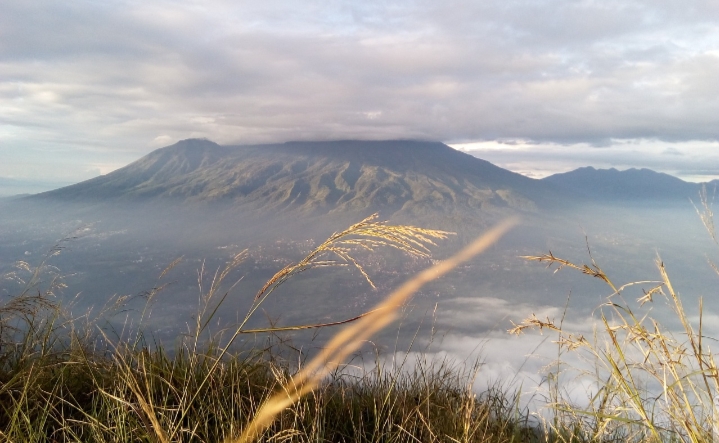 Panorama Menakjubkan dari Gunung Wilis Nganjuk: Tempat Terbaik untuk Mendaki di Jawa Timur