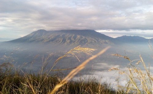 Panorama Menakjubkan dari Gunung Wilis Nganjuk: Tempat Terbaik untuk Mendaki di Jawa Timur