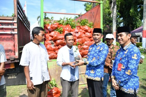 Sebanyak 45 Kelompok Tani di Sinjai Dapat Bantuan Bibit Cengkeh