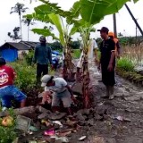 Ditengarai Sengaja Rusak Jalan Desa, Sejumlah Warga Sidomulyo Jember Dilaporkan Polisi