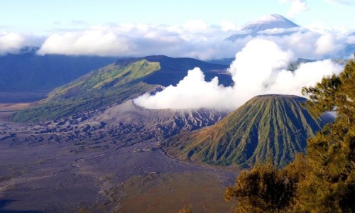 Lima Aktivitas Menarik di Bromo untuk Pecinta Alam