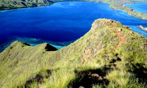 Eksplorasi Keindahan Pulau Komodo: Surga Tersembunyi di Nusa Tenggara Timur yang Wajib Dikunjungi