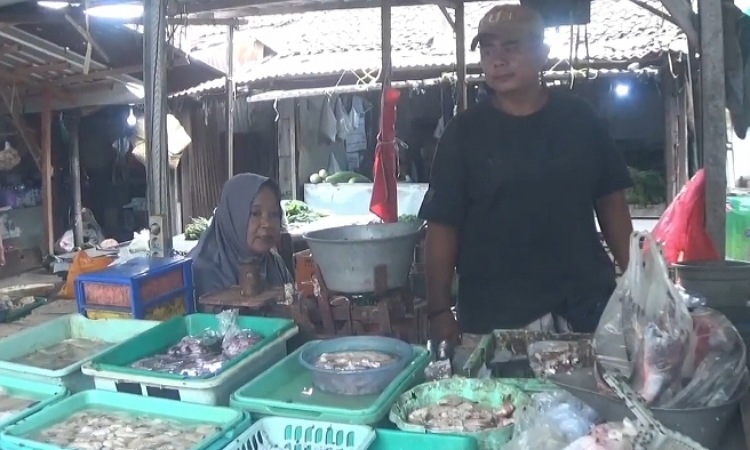 Jelang Nataru, Harga Ikan Mujair Melonjak di Pasar Legi Jombang harga Ayam Stabil