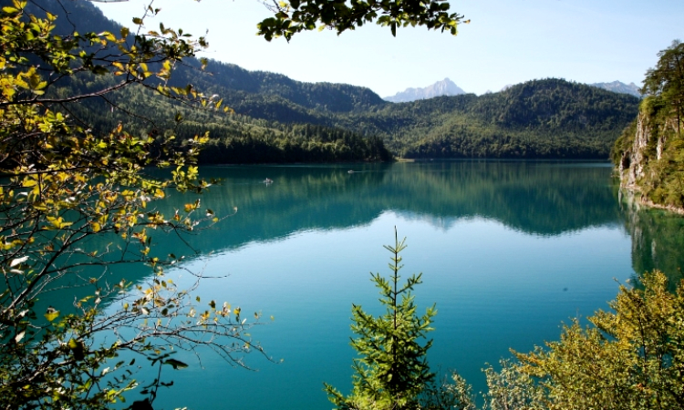 Menikmati Keindahan dan Manfaat Situ Kamojing, Danau Buatan di Cikampek