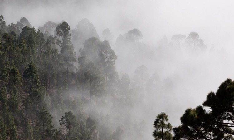 Bukit Pare Ponorogo: Tempat Wisata Populer dengan Pemandangan Alam Memesona di Ketinggian