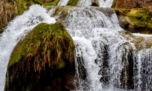 Air Terjun Pring Jowo: Destinasi Wisata Air yang Tenang dan Asri di Tengah Alam