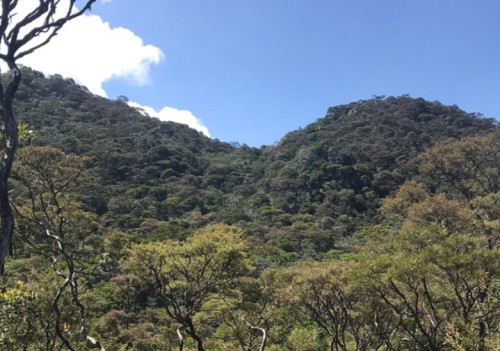 Bukit Salju Ngetos: Destinasi Unik dengan Pemandangan Putih Menawan yang Wajib Dikunjungi