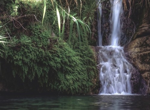 Air Terjun Gedangan: Gemuruh Air yang Menyejukkan di Tengah Hutan