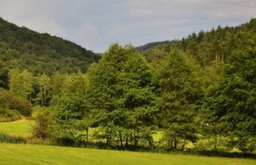 52f4cecb5980.jpg