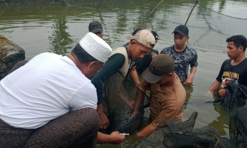 Budidaya Ikan Bawal, Inovasi Wirausaha Santri di Pondok Pesantren At-Tahzib Jombang