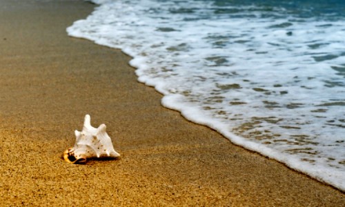 Pantai Tlepuk: Keindahan Pantai yang Alami di Lumajang