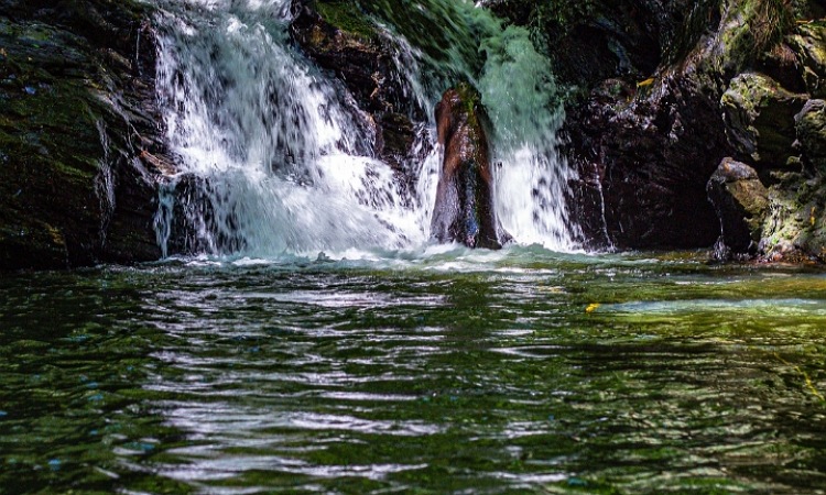 Kolam Renang Tirta Nagasari: Wisata Keluarga yang Menyenangkan di Magetan