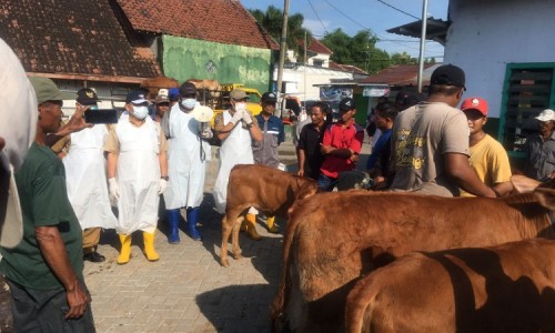 5268fcce8e07.jpg