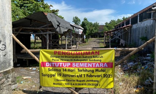 d2f37f981b89.jpg