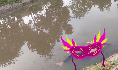 3d304602363e.jpg