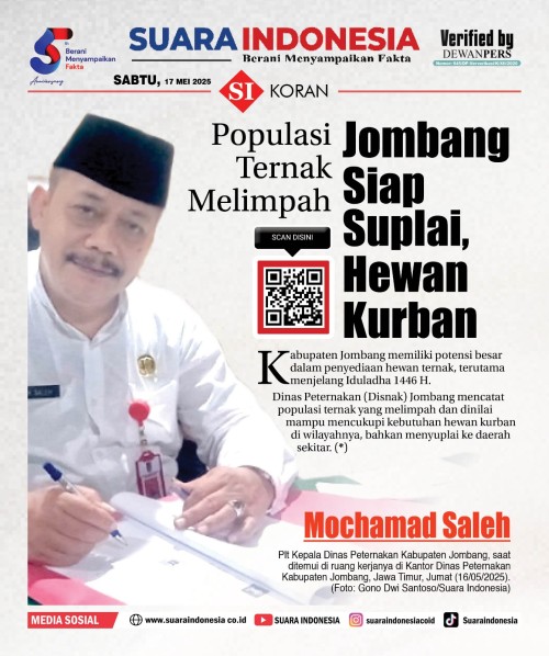 5ca32b95d77a.jpg