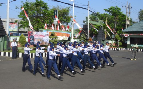 c455d80a499d.jpg