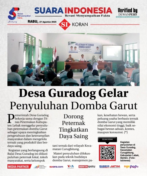 36cbab82a447.jpg