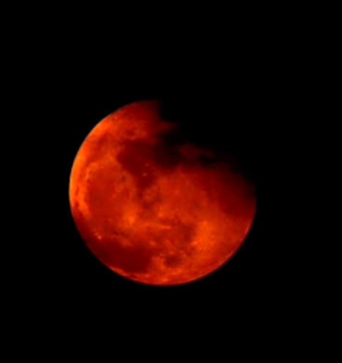 4f7544f166cd.jpg