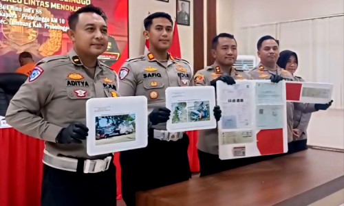 b31ff311f65c.jpg