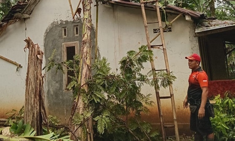 Diterjang Angin Kencang, Pohon Tumbang Timpa Empat Rumah Warga di Banjarnegara