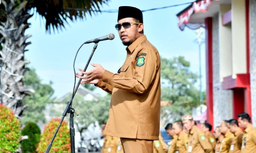 be446a15eb8f.jpg