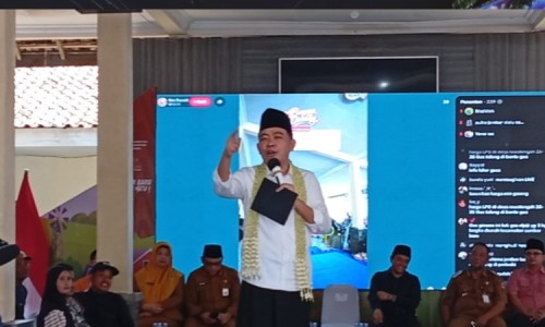 d4b622b3c131.jpg