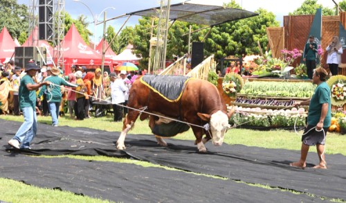 0e818e36824c.jpg