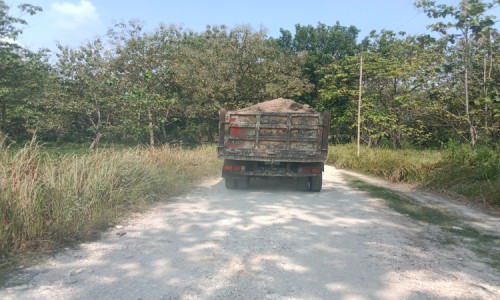 a36bf26518c5.jpg
