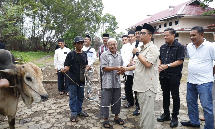 Kuantitas Hewan Kurban Tahun 2026 di Karimun Mengalami Peningkatan