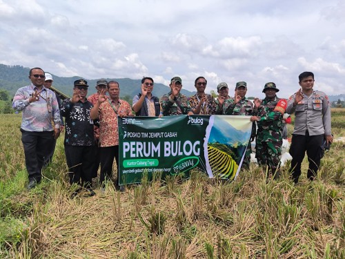 Serapan Gabah-Beras Petani di Bulog Tegal Tembus 64 Ribu Lebih Ton Hingga Awal Juni