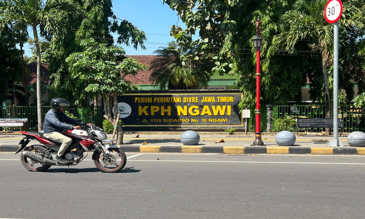 Kejaksaan Sita Uang Tunai Kasus Dugaan Korupsi Perhutani Ngawi