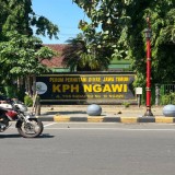 Kejaksaan Sita Uang Tunai Kasus Dugaan Korupsi Perhutani Ngawi