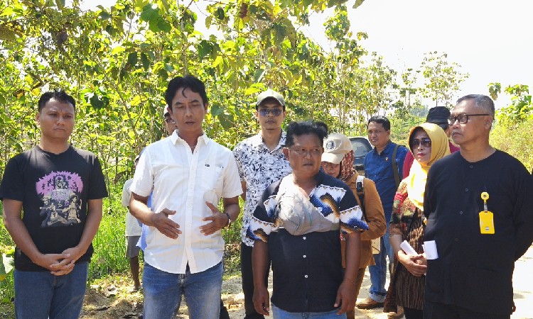 BPN Blora Lakukan Pengukuran Ulang Terkait Sengketa Batas Tanah di Sendangharjo