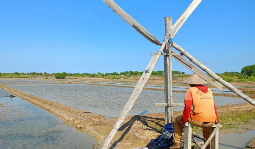 Kemarau El Nino Tahun 2026, Petambak Garam di Sampang Belum Penen Maksimal