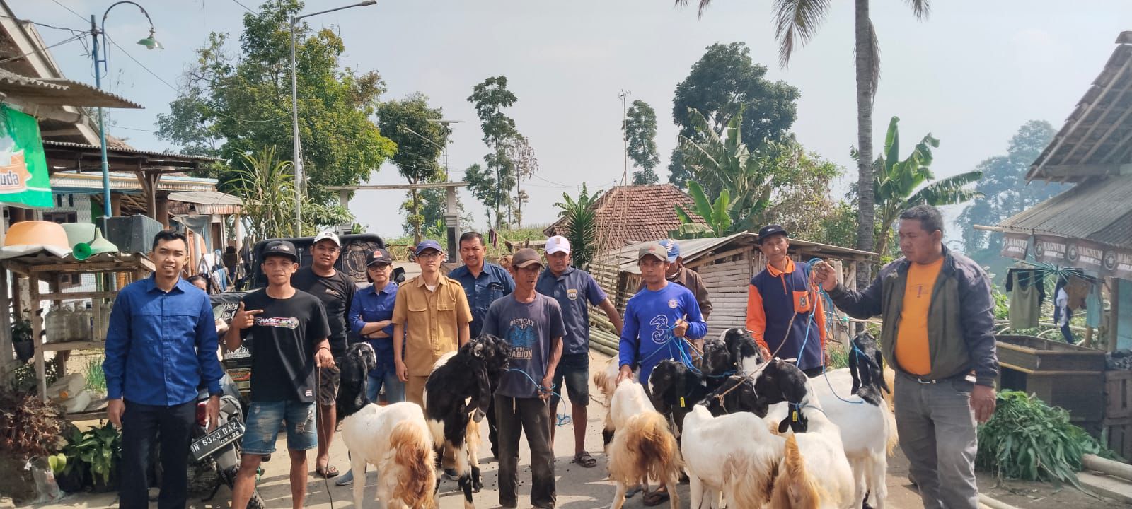 Dorong Kemandirian Ekonomi, Amarta Faza Salurkan Bantuan Indukan Kambing PE ke Poktan Malang 