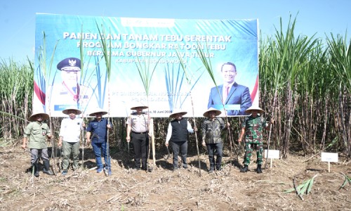 Pemkab Targetkan Bondowoso Jadi Sentra Tebu Modern Penopang Swasembada Gula Nasional