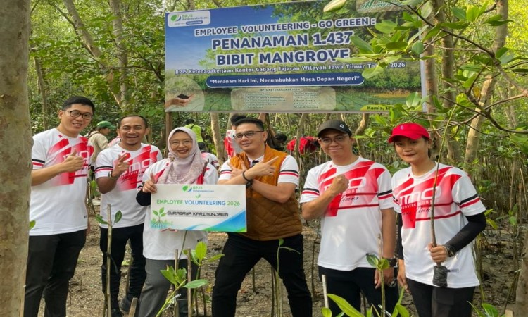 Peduli Lingkungan, Karyawan BPJS Ketenagakerjaan Tanam 1.437 Bibit Mangrove di Wonorejo
