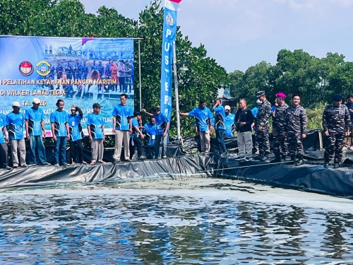 TNI AL Bekali Warga Tegal Ilmu Budidaya Udang Vaname, Tambak Ditargetkan Produktif Lagi